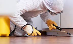 Best Residential Pest Control  in Macedonia, OH